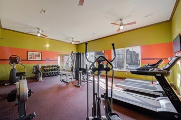 Sycamore Terrace - Community Gym